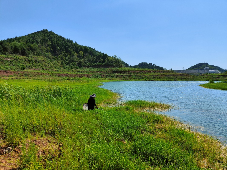 四川省蓬溪船山灌區(qū)工程環(huán)境監(jiān)測(cè)水生態(tài)調(diào)查監(jiān)測(cè)